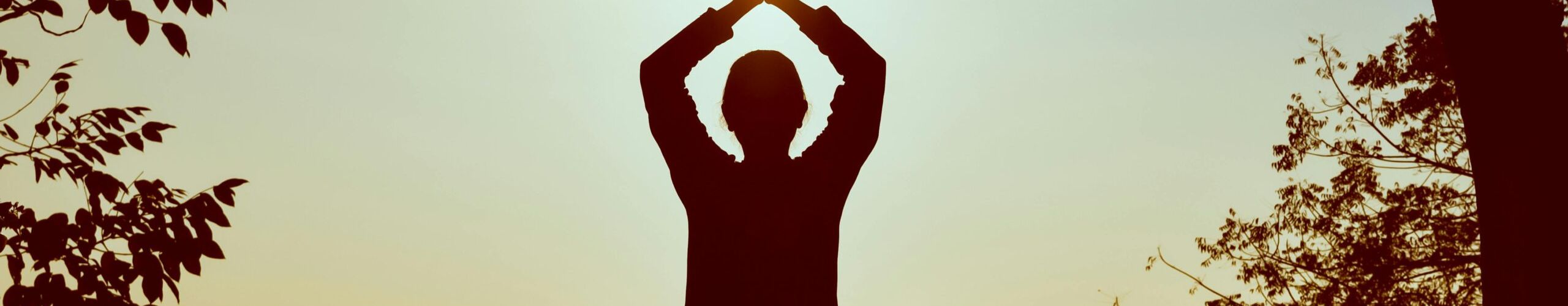 Yoga Ticino (Svizzera) e Yoga Alliance (USA), facciamo chiarezza sulle differenze 1 pexels photo 1051838 scaled 12746a88