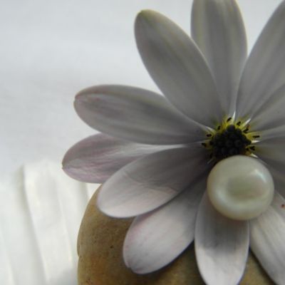 photo 2023 11 06 07.38.33 678c7f72