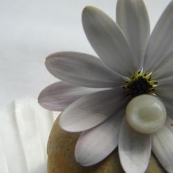 photo 2023 11 06 07.38.33 dc400f55